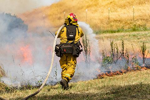 image of firefighter fighting wildland fire